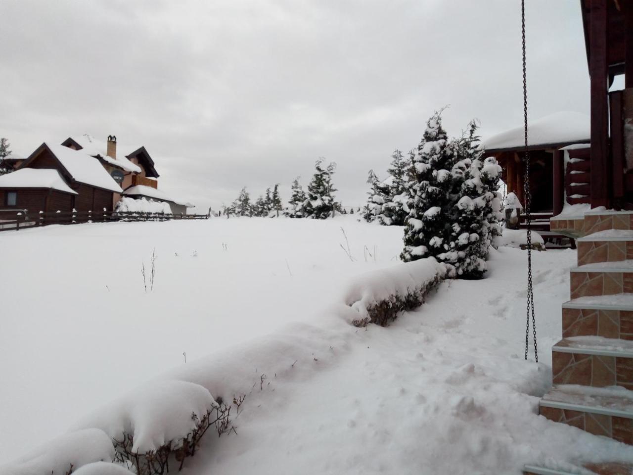 Vila Dodi Villa Bajina Basta Kültér fotó