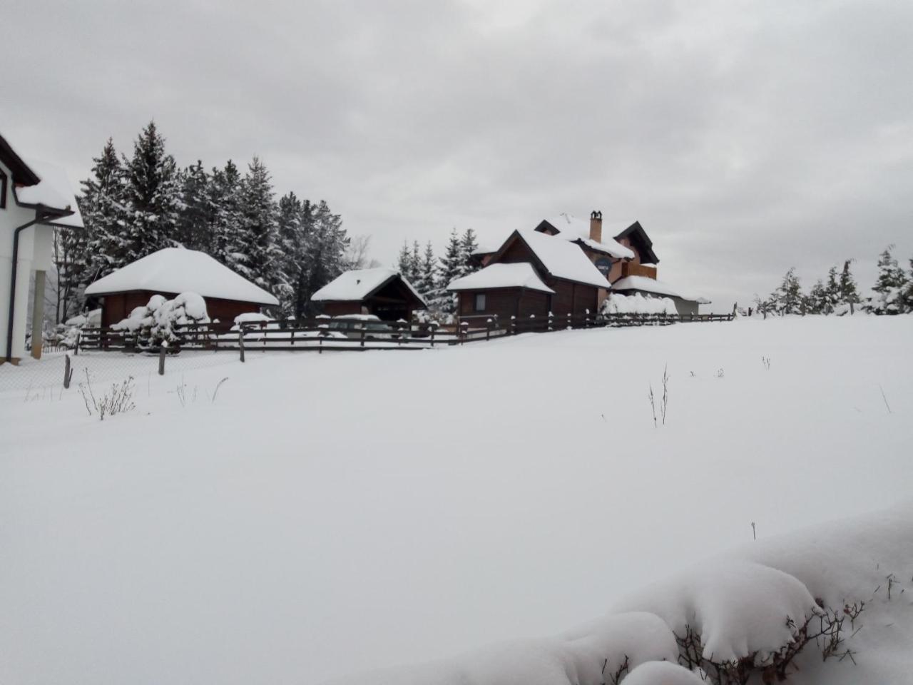 Vila Dodi Villa Bajina Basta Kültér fotó