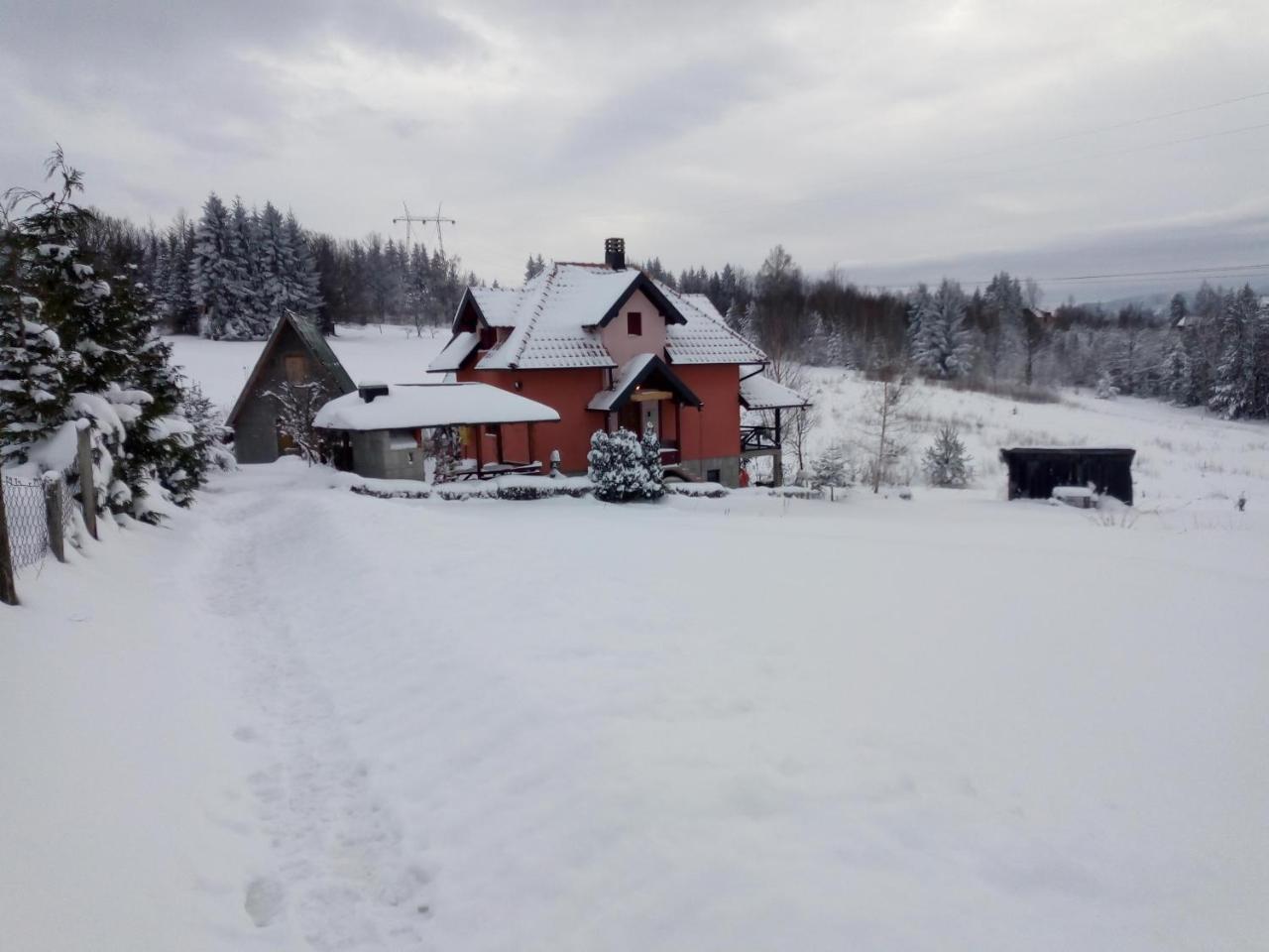 Vila Dodi Villa Bajina Basta Kültér fotó